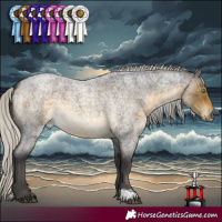 Horse Color:Silver Buckskin Roan Sabino 