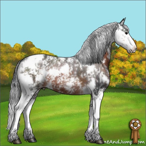 Horse Color:Brown Sabino 