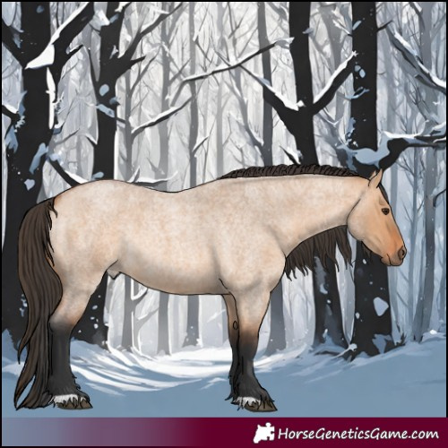 Horse Color:Bay Roan Dun Rabicano 