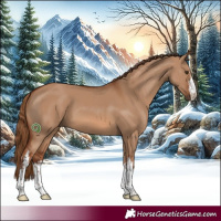Horse Color:White Spotted Red Dun 