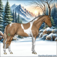 Horse Color:Chocolate Palomino Roan Tobiano 