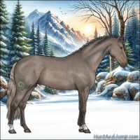 Horse Color:Silver Grullo Roan Rabicano 