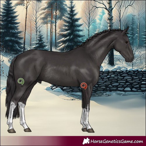 Horse Color:White Spotted Smoky Black Rabicano 