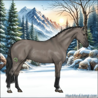 Horse Color:Grullo Sabino Rabicano 