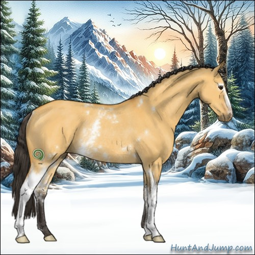 Horse Color:White Spotted Buckskin Dun Rabicano 
