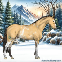 Horse Color:White Spotted Buckskin Dun Rabicano 