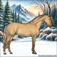 Horse Color:Chocolate Palomino Dun Sabino Rabicano