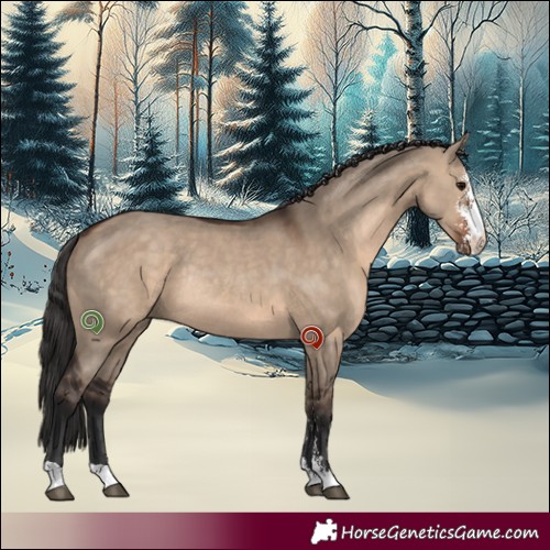 Horse Color:Brown Dun Sabino Rabicano 
