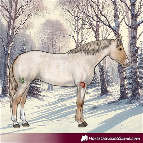 Horse Color:Chocolate Palomino Roan Dun Sabino Rabicano 