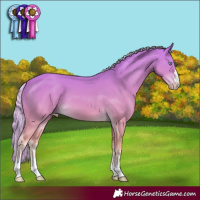 Horse Color:Cremello 