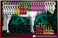 Horse Color:White Spotted Brown Dun Sabino