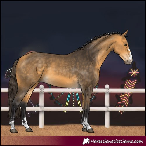 Horse Color:Buckskin 