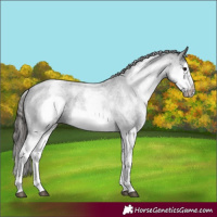 Horse Color:White Spotted Blue Roan Splash Frame Varnish 
