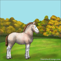 Horse Color:Bay Ice Roan Pearl Splash 