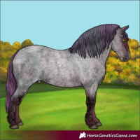 Horse Color:Bay Ice Roan Pearl 