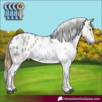 Horse Color:Brown Ice Roan Pearl Sabino Appaloosa 