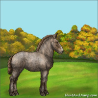 Horse Color:Blue Ice Roan Pearl 