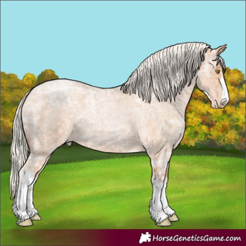 Horse Color:White Spotted Silver Bay Ice Roan Pearl 