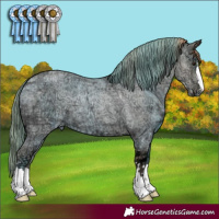Horse Color:Grullo Ice Roan Pearl 