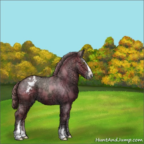 Horse Color:Brown Ice Pearl Sabino Appaloosa 