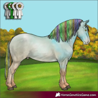 Horse Color:Painted Red Dun Pearl 