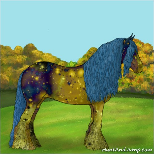 Horse Color:ERROR: UNKNOWN ANOMALY