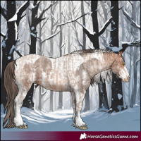 Horse Color:Amber Champagne Sabino Tobiano Varnish and Bay Sabino Tobiano Varnish