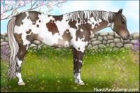 Horse Color:White Spotted Silver Brown 