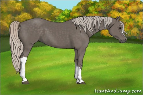 Horse Color:Silver Black 