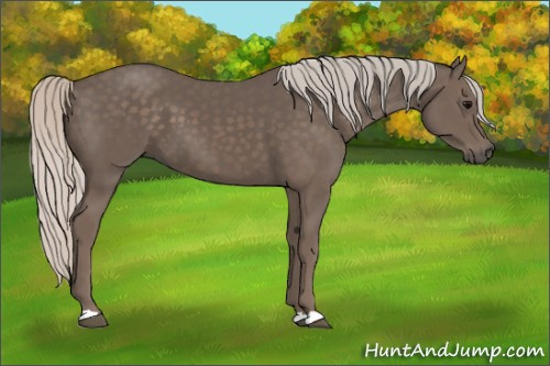 Horse Color:Silver Black 