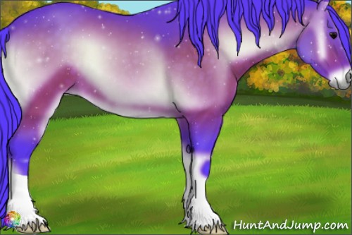 Horse Color:Watercolor Chocolate Bay Onyx 
