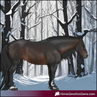 Horse Color:Brown 