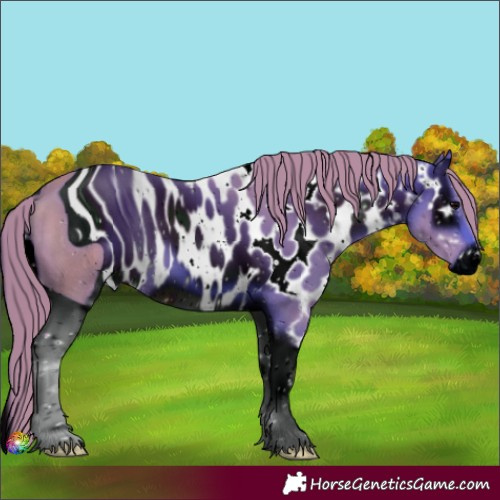 Horse Color:ERROR: UNKNOWN ANOMALY