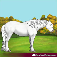Horse Color:Cremello Dun 