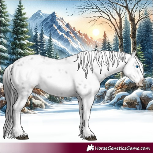 Horse Color:Black Frame 