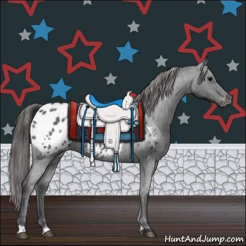 Horse Color:Blue Roan Appaloosa 