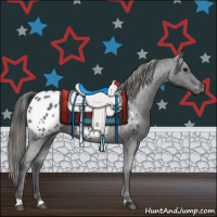 Horse Color:Blue Roan Appaloosa 