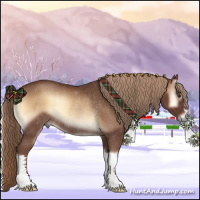 Horse Color:Red Onyx Rabicano