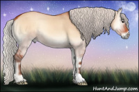 Horse Color:Silver Bay Onyx