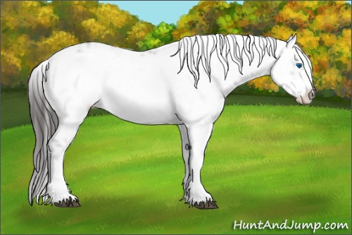 Horse Color:Liver Chestnut Frame 