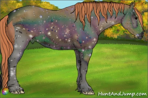 Horse Color:ERROR: UNKNOWN ANOMALY