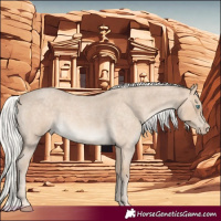 Horse Color:Silver Perlino Roan 