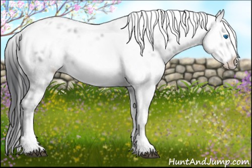 Horse Color:Black Frame