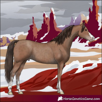 Horse Color:Classic Champagne Rabicano  and Classic Champagne Rabicano 