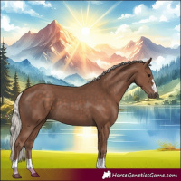 Horse Color:Silver Black 