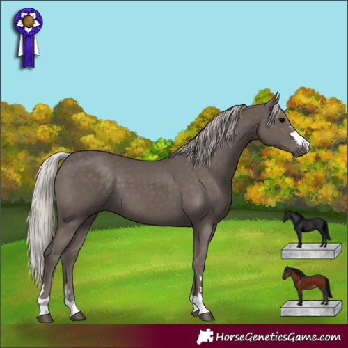 Horse Color:Silver Black 