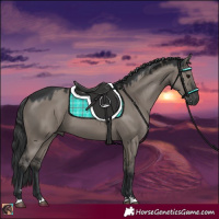 Horse Color:Grullo 