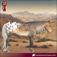 Horse Color:Silver Buckskin Tobiano Appaloosa 