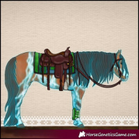 Horse Color:Thunderstruck Bay 