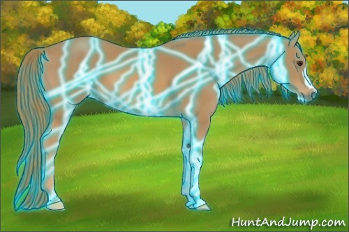 Horse Color:Thunderstruck Chestnut 